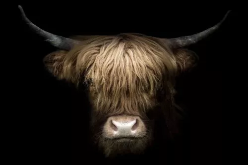 By Kohler Einzigartig und handgefertigt  Highland 120x80cm (202402)