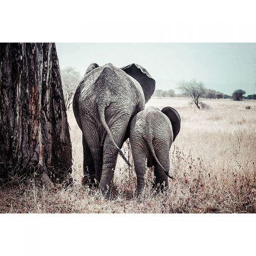 By Kohler Einzigartig und handgefertigt  Elefanten Mutter & Jungtier 80x120x2cm (109016)
