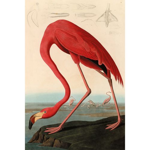 By Kohler Einzigartig und handgefertigt  Amerikanischer roter Flamingo 80x120x2cm (108714)