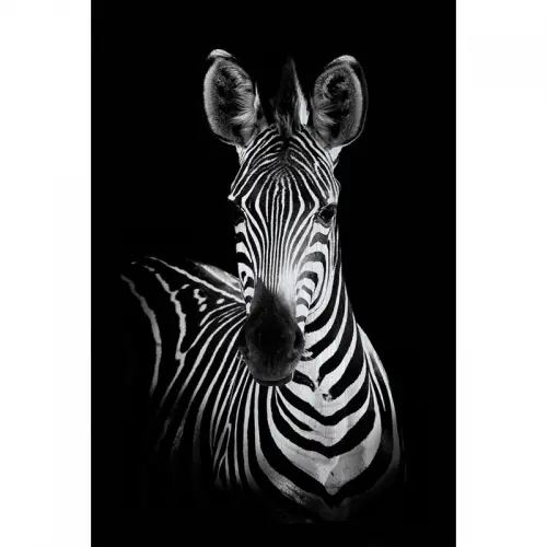 By Kohler Einzigartig und handgefertigt  120x180x2cm Alubrush Zebra (107934)