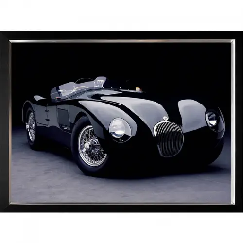By Kohler Einzigartig und handgefertigt  1951 Jaguar C-Type 120x90x3cm (102629)