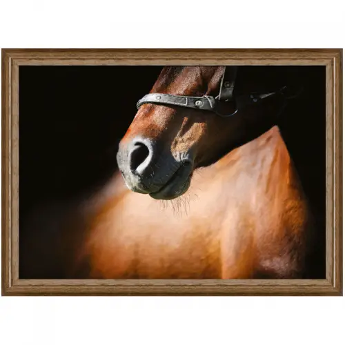 By Kohler Einzigartig und handgefertigt  Braunes Pferd 3 80x60x3cm (105175)