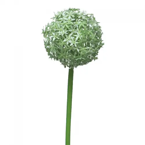 By Kohler Einzigartig und handgefertigt  Allium Quin 14x10x10cm (110501)
