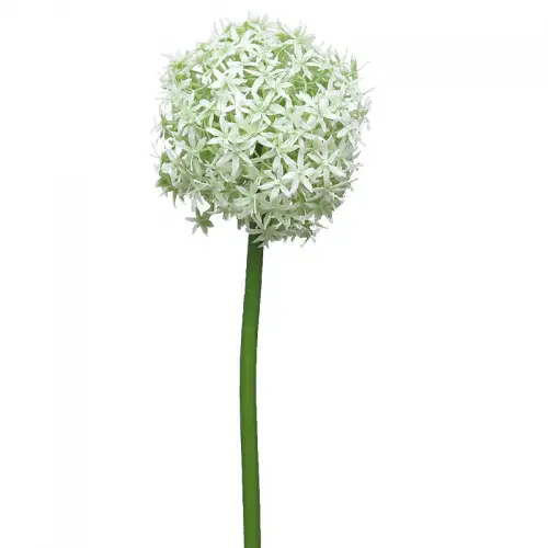 By Kohler Einzigartig und handgefertigt  Allium Quin 14x10x10cm (110500)