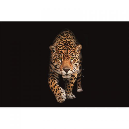 By Kohler Einzigartig und handgefertigt  Gefleckte Wildkatze - Panther 300x200x2cm Matte (113483)