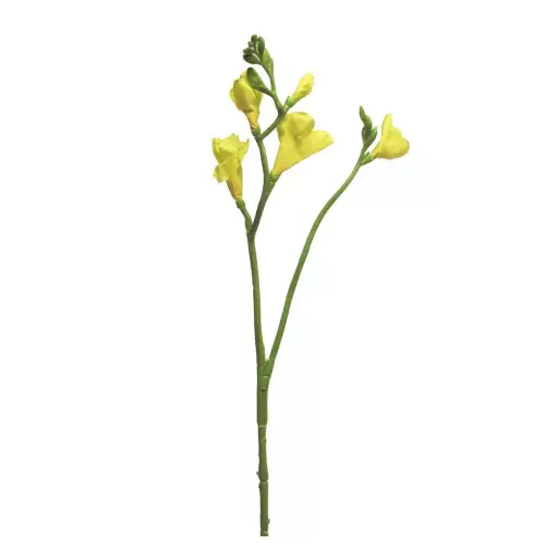 By Kohler Einzigartig und handgefertigt  Freesia floramunda gelb 65cm (200988)