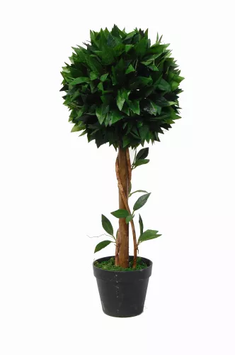 By Kohler Einzigartig und handgefertigt  Bay Tree 70cm (201535)