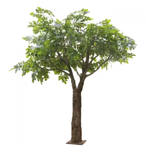 By Kohler Einzigartig und handgefertigt  Riesen Ficus Baum grün 160x160x230cm (114881)